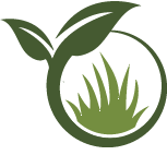 Backyard Landscape Design Service Pros