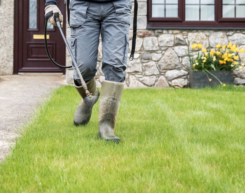 Backyard Landscape Design Service