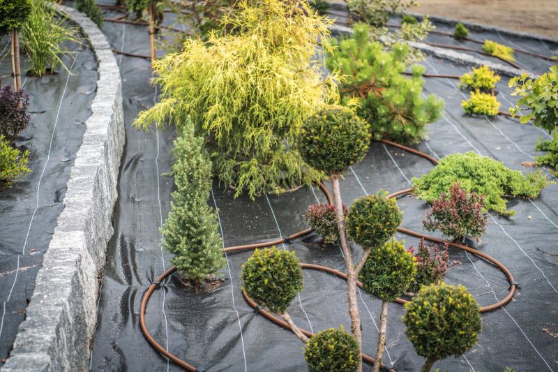 Landscape Remodeling in Ventura County, CA