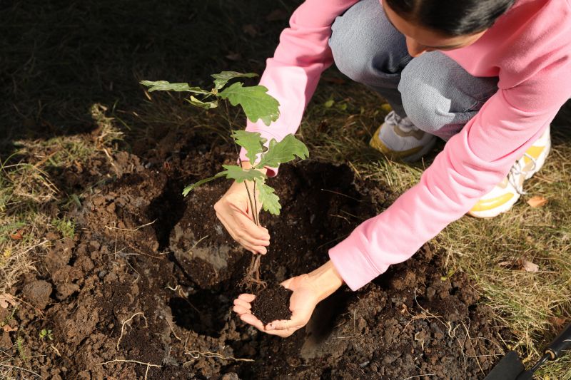 Orchard Planting in Honolulu, HI