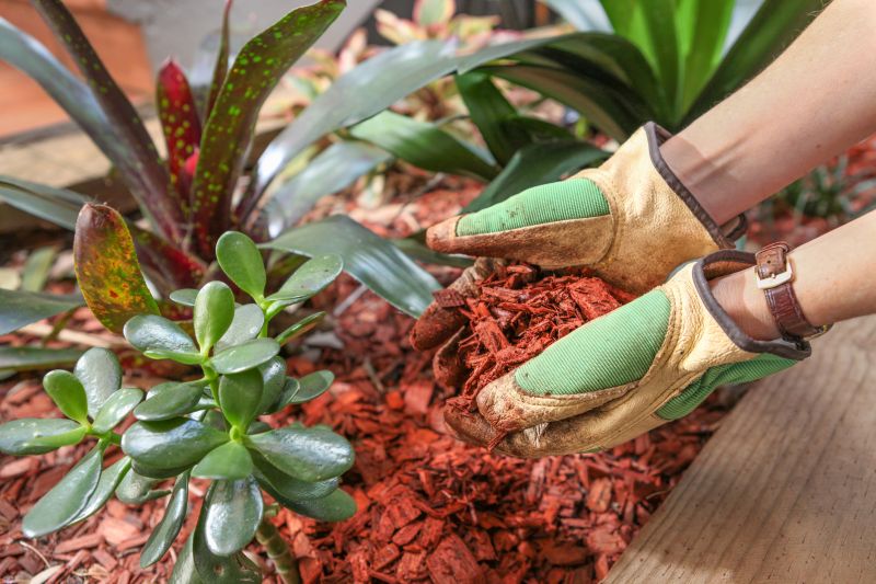 Organic Mulch Installation in Honolulu, HI