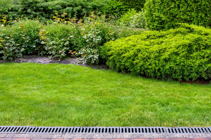 Pathway Landscaping in Honolulu, HI