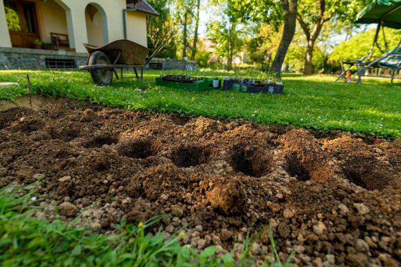 Small Garden Landscaping in Honolulu, HI