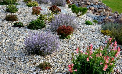 Softscaping Service in Honolulu, HI