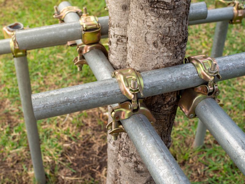 Tree Straightening Service in Reno, NV